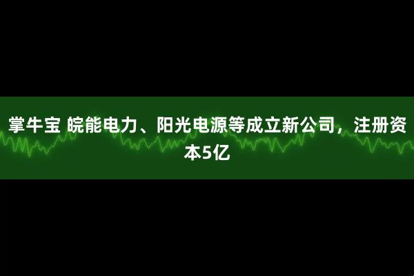 掌牛宝 皖能电力、阳光电源等成立新公司，注册资本5亿