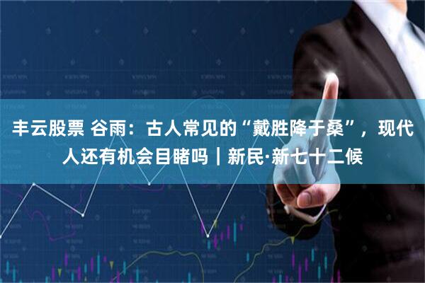 丰云股票 谷雨：古人常见的“戴胜降于桑”，现代人还有机会目睹吗｜新民·新七十二候