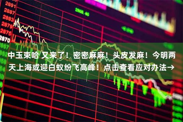 中玉束哈 又来了！密密麻麻！头皮发麻！今明两天上海或迎白蚁纷飞高峰！点击查看应对办法→