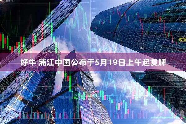 好牛 浦江中国公布于5月19日上午起复牌