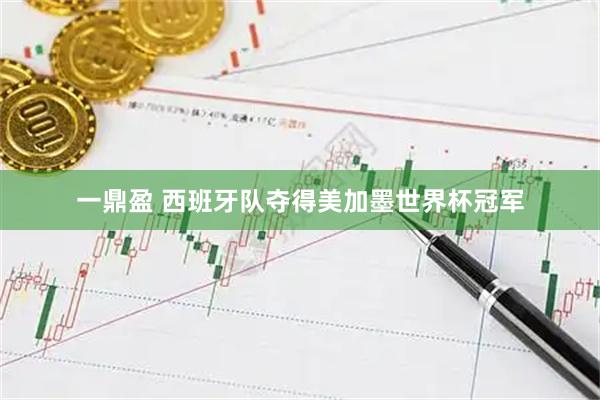 一鼎盈 西班牙队夺得美加墨世界杯冠军
